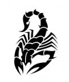 animal decals, reptile decals, scorpion decals, car decals, car stickers, decals for cars, stickers for cars, window stickers, vinyl stickers, vinyl decals