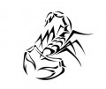 animal decals, reptile decals, scorpion decals, car decals, car stickers, decals for cars, stickers for cars, window stickers, vinyl stickers, vinyl decals