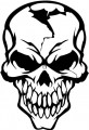 skull decals, car decals, car stickers, decals for cars, stickers for cars, window stickers, vinyl stickers, vinyl decals