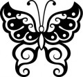 insect decals, butterfly decals, car decals, car stickers, decals for cars, stickers for cars, window stickers, vinyl stickers, vinyl decals