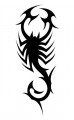 animal decals, reptile decals, scorpion decals, car decals, car stickers, decals for cars, stickers for cars, window stickers, vinyl stickers, vinyl decals
