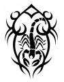 animal decals, reptile decals, scorpion decals, car decals, car stickers, decals for cars, stickers for cars, window stickers, vinyl stickers, vinyl decals
