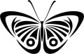 insect decals, butterfly decals, car decals, car stickers, decals for cars, stickers for cars, window stickers, vinyl stickers, vinyl decals