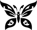 insect decals, butterfly decals, car decals, car stickers, decals for cars, stickers for cars, window stickers, vinyl stickers, vinyl decals