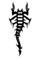 animal decals, reptile decals, scorpion decals, car decals, car stickers, decals for cars, stickers for cars, window stickers, vinyl stickers, vinyl decals