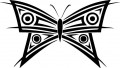 insect decals, butterfly decals, car decals, car stickers, decals for cars, stickers for cars, window stickers, vinyl stickers, vinyl decals