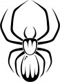 insect decals, spider decals, car decals, car stickers, decals for cars, stickers for cars, window stickers, vinyl stickers, vinyl decals