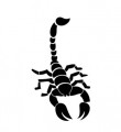 animal decals, reptile decals, scorpion decals, car decals, car stickers, decals for cars, stickers for cars, window stickers, vinyl stickers, vinyl decals