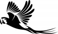 animal decals, bird decals, car decals, car stickers, decals for cars, stickers for cars, window stickers, vinyl stickers, vinyl decals