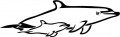 animal decals, sea decals, ocean decals, dolphin decals, fish decals, car decals, car stickers, decals for cars, stickers for cars, window stickers, vinyl stickers, vinyl decals
