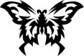 insect decals, butterfly decals, car decals, car stickers, decals for cars, stickers for cars, window stickers, vinyl stickers, vinyl decals