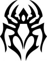 insect decals, spider decals, car decals, car stickers, decals for cars, stickers for cars, window stickers, vinyl stickers, vinyl decals