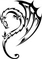 animal decals, reptile decals, dragon decals, car decals, car stickers, decals for cars, stickers for cars, window stickers, vinyl stickers, vinyl decals